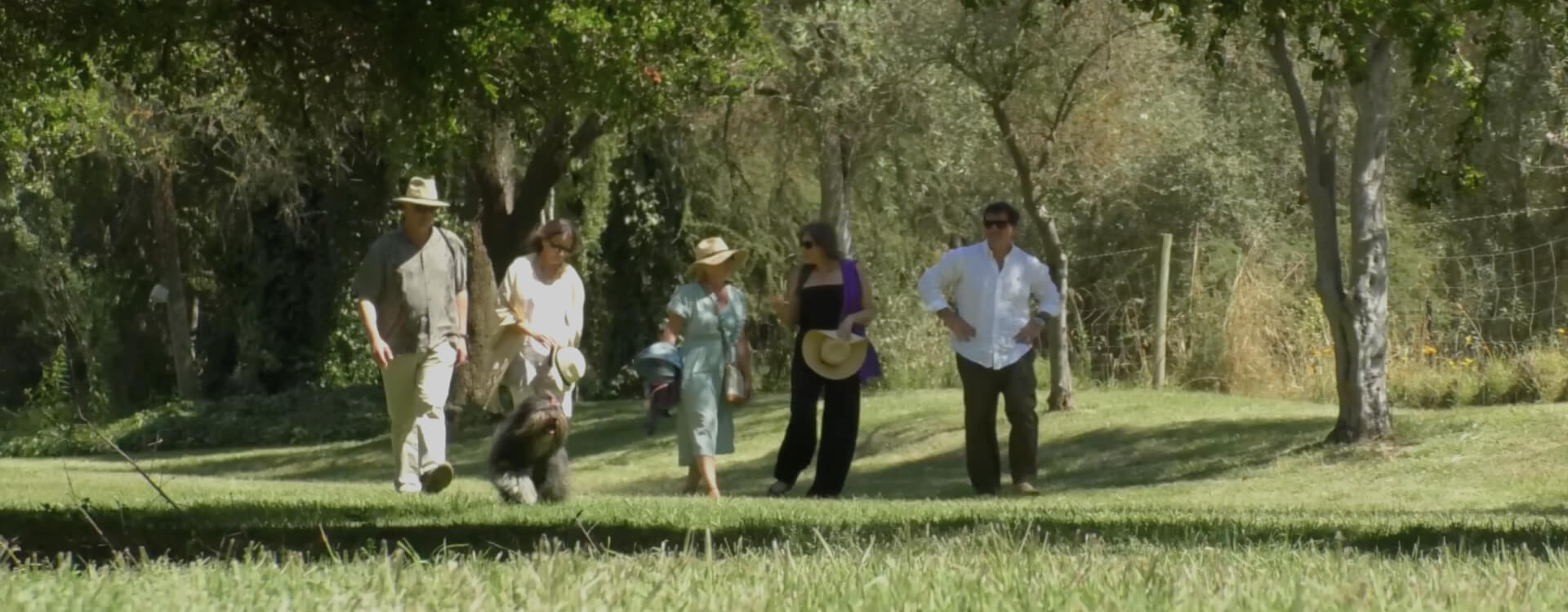 Wine Tours in Chile near Santiago