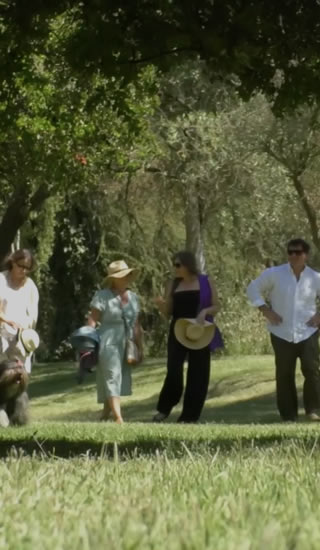 Wine Tours in Chile near Santiago