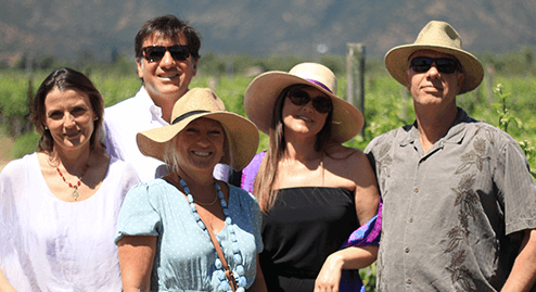 Tour Guided by Wine Experts