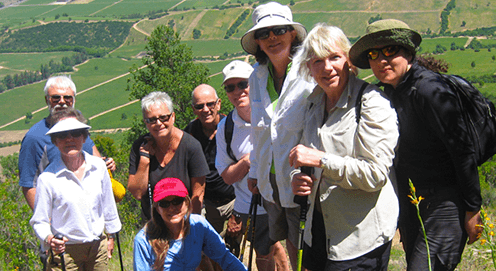 Wine Adventures Chile