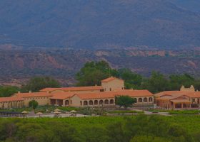 Active wine and food experience in Argentina