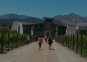 Women wine tours in Chile