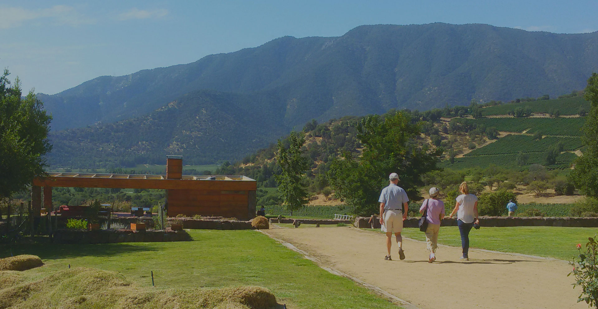 Luxury Red Wine Experience in chile