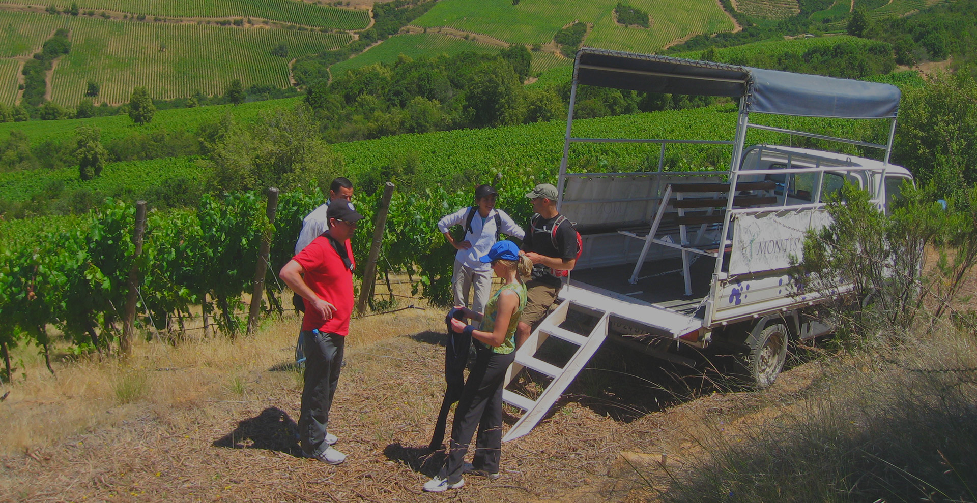 White and Red Wine Experience Chile