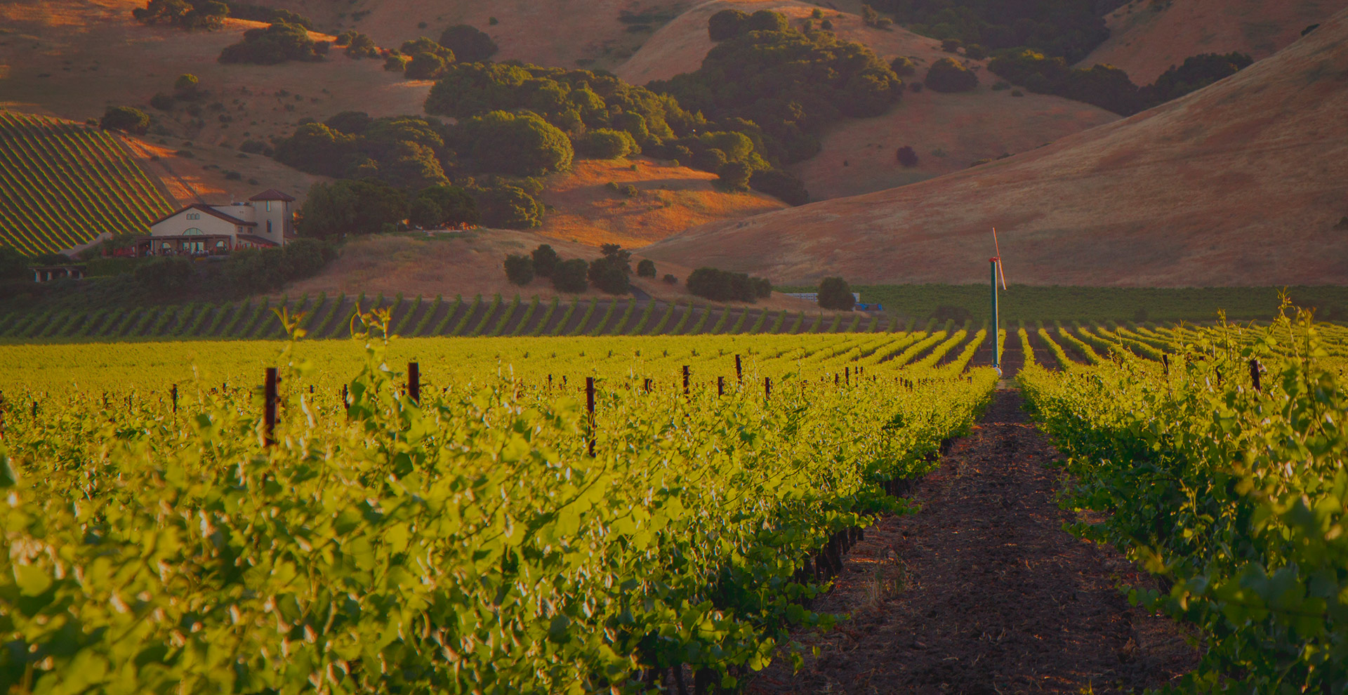 Wine and food experience Argentina