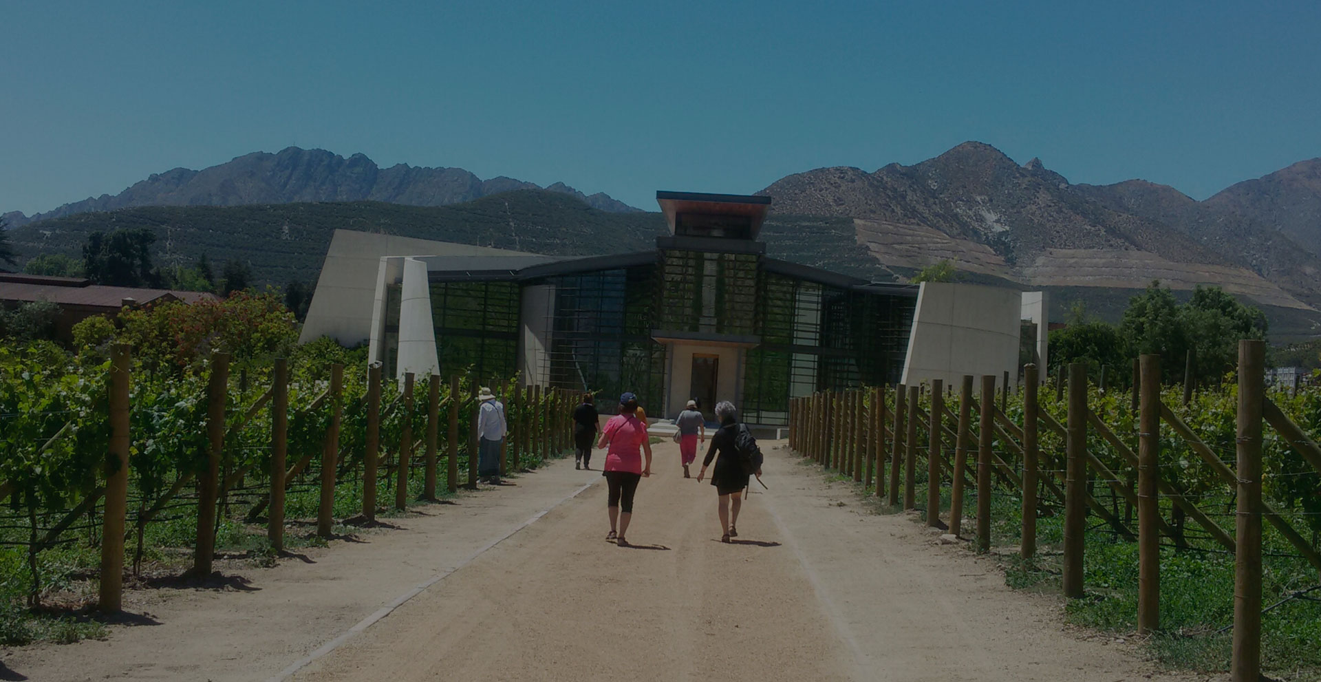 Women wine tours in Chile